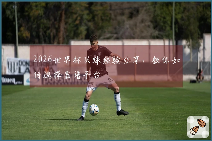 2026世界杯买球经验分享，教你如何选择靠谱平台