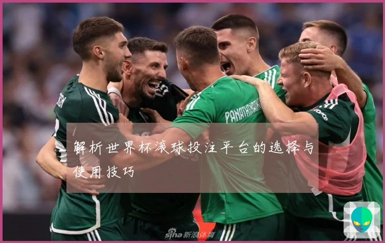 解析世界杯滚球投注平台的选择与使用技巧
