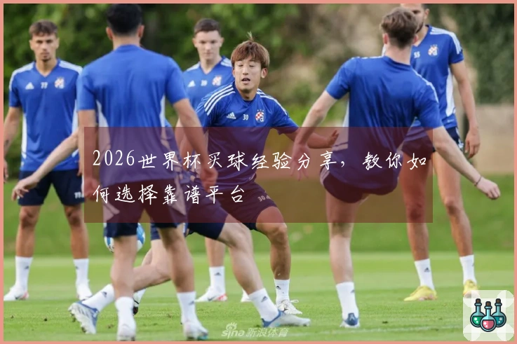 2026世界杯买球经验分享，教你如何选择靠谱平台
