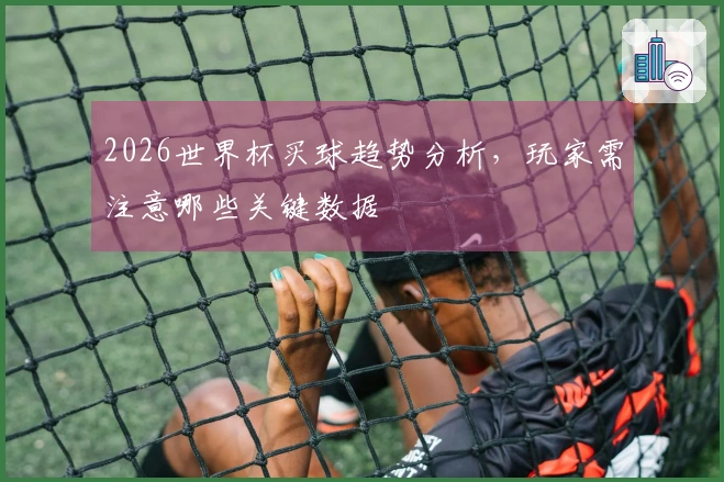 2026世界杯买球趋势分析，玩家需注意哪些关键数据