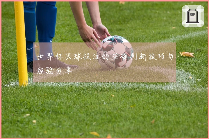 世界杯买球投注的正确判断技巧与经验分享